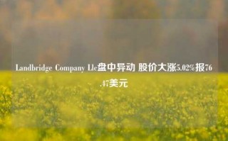 Landbridge Company Llc盘中异动 股价大涨5.02%报76.47美元