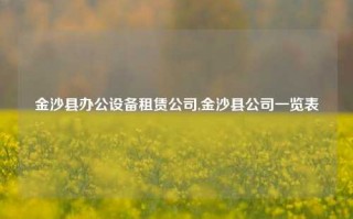 金沙县办公设备租赁公司,金沙县公司一览表