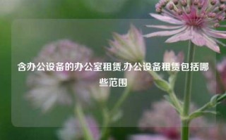 含办公设备的办公室租赁,办公设备租赁包括哪些范围