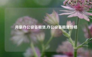 月豪办公设备租赁,办公设备租赁价格