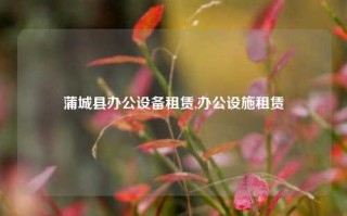 蒲城县办公设备租赁,办公设施租赁