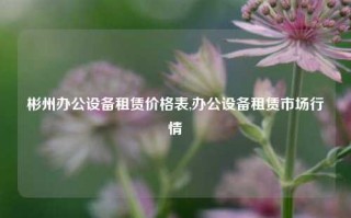 彬州办公设备租赁价格表,办公设备租赁市场行情