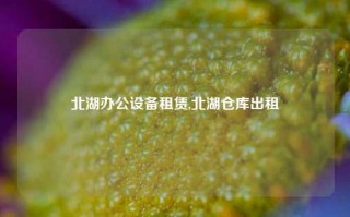 北湖办公设备租赁,北湖仓库出租