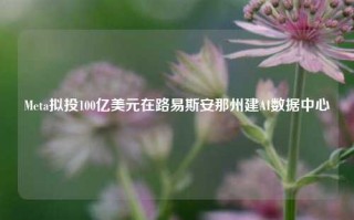 Meta拟投100亿美元在路易斯安那州建AI数据中心