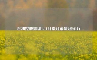 吉利控股集团1-11月累计销量超300万