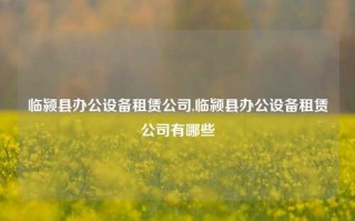 临颍县办公设备租赁公司,临颍县办公设备租赁公司有哪些