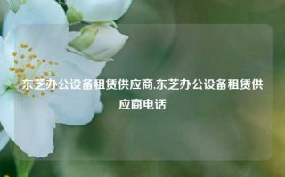 东芝办公设备租赁供应商,东芝办公设备租赁供应商电话