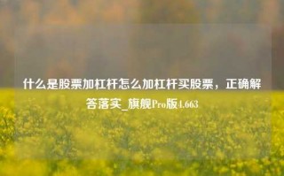 什么是股票加杠杆怎么加杠杆买股票，正确解答落实_旗舰Pro版4.663