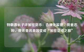 特朗普长子评加密货币：合理化监管，我是忠粉，我爸要将美国变成“加密货币之都”