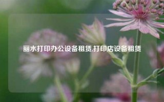 丽水打印办公设备租赁,打印店设备租赁