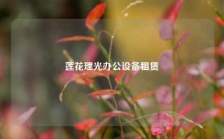 莲花理光办公设备租赁