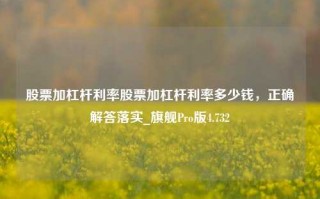 股票加杠杆利率股票加杠杆利率多少钱，正确解答落实_旗舰Pro版4.732