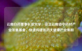 云南白药董事长张文学：设立云南省中药材产业发展基金，快速构建医药大健康产业集群