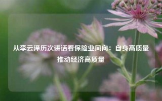 从李云泽历次讲话看保险业风向：自身高质量　推动经济高质量