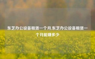 东芝办公设备租赁一个月,东芝办公设备租赁一个月能赚多少