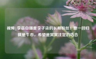 视频|李蓓自曝是李子柒的长期粉丝：她一回归就是牛市，希望是冥冥注定的巧合