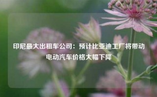 印尼最大出租车公司：预计比亚迪工厂将带动电动汽车价格大幅下降