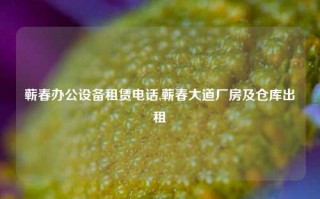 蕲春办公设备租赁电话,蕲春大道厂房及仓库出租