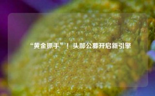 “黄金抓手”！头部公募开启新引擎