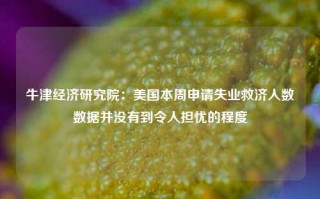 牛津经济研究院：美国本周申请失业救济人数数据并没有到令人担忧的程度