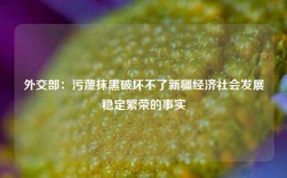 外交部：污蔑抹黑破坏不了新疆经济社会发展稳定繁荣的事实