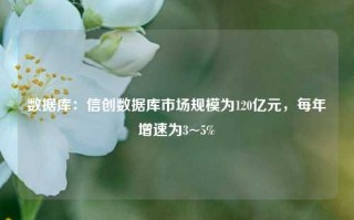 数据库：信创数据库市场规模为120亿元，每年增速为3~5%