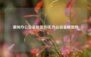 潮州办公设备租赁价钱,办公设备租赁网