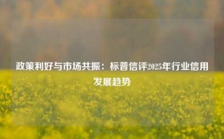 政策利好与市场共振：标普信评2025年行业信用发展趋势