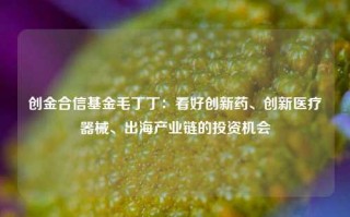 创金合信基金毛丁丁：看好创新药、创新医疗器械、出海产业链的投资机会