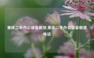 重庆二手办公设备租赁,重庆二手办公设备租赁电话