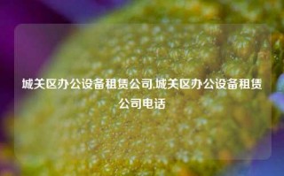 城关区办公设备租赁公司,城关区办公设备租赁公司电话