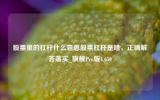 股票里的杠杆什么意思股票杠杆是啥，正确解答落实_旗舰Pro版4.650