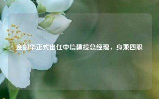 金剑华正式出任中信建投总经理，身兼四职