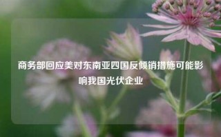 商务部回应美对东南亚四国反倾销措施可能影响我国光伏企业