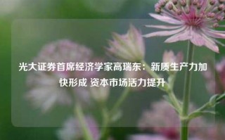 光大证券首席经济学家高瑞东：新质生产力加快形成 资本市场活力提升