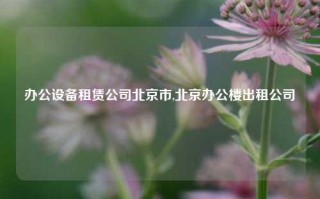 办公设备租赁公司北京市,北京办公楼出租公司