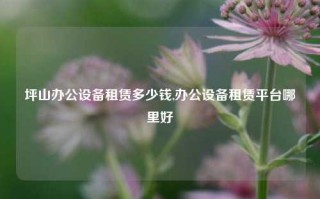 坪山办公设备租赁多少钱,办公设备租赁平台哪里好