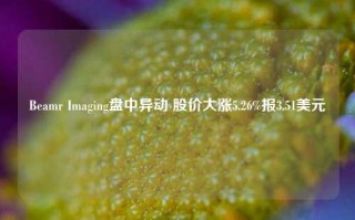 Beamr Imaging盘中异动 股价大涨5.26%报3.51美元