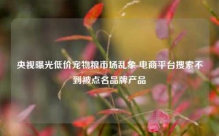 央视曝光低价宠物粮市场乱象 电商平台搜索不到被点名品牌产品