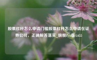 股票杠杆怎么申请门槛股票杠杆怎么申请在证券公司，正确解答落实_旗舰Pro版4.655