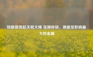 特朗普挥起关税大棒 花旗称铝、钢是受影响最大的金属