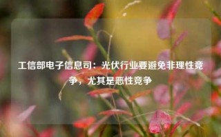 工信部电子信息司：光伏行业要避免非理性竞争，尤其是恶性竞争