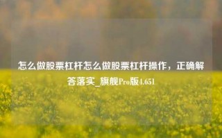 怎么做股票杠杆怎么做股票杠杆操作，正确解答落实_旗舰Pro版4.651