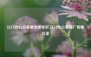 江门办公设备租赁哪家好,江门办公家具厂有哪几家