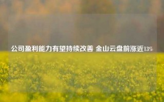 公司盈利能力有望持续改善 金山云盘前涨近13%