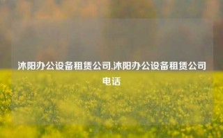 沐阳办公设备租赁公司,沐阳办公设备租赁公司电话