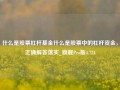 什么是股票杠杆基金什么是股票中的杠杆资金，正确解答落实_旗舰Pro版4.724