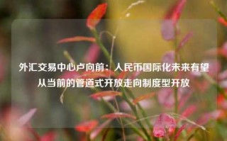 外汇交易中心卢向前：人民币国际化未来有望从当前的管道式开放走向制度型开放