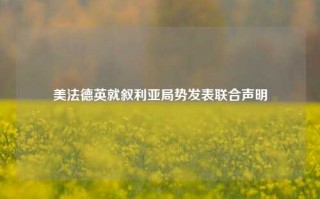 美法德英就叙利亚局势发表联合声明