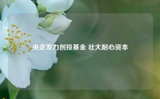 央企发力创投基金 壮大耐心资本